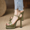 Women's Summer Platform Ultra-High Heel Sandals