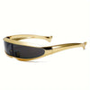 Future oriented integrated glasses