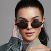 Black & Gray Metal Frame Fashion Glasses with Polycarbonate Decorative Lenses